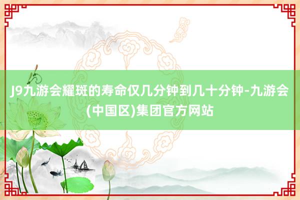 J9九游会耀斑的寿命仅几分钟到几十分钟-九游会(中国区)集团官方网站