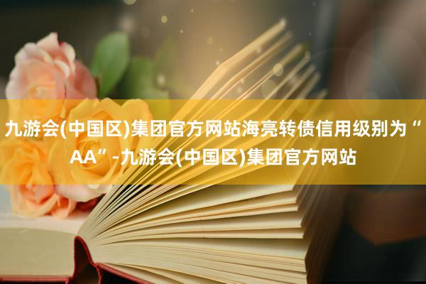 九游会(中国区)集团官方网站海亮转债信用级别为“AA”-九游会(中国区)集团官方网站