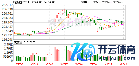 K图 TSLA_0