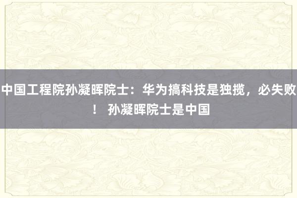 中国工程院孙凝晖院士：华为搞科技是独揽，必失败 ！ 孙凝晖院士是中国