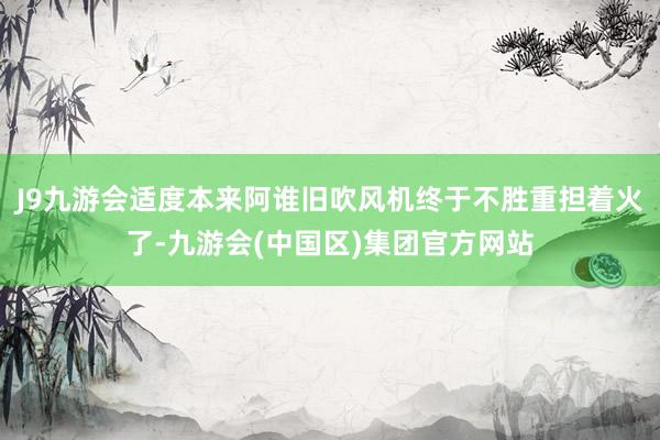 J9九游会适度本来阿谁旧吹风机终于不胜重担着火了-九游会(中国区)集团官方网站