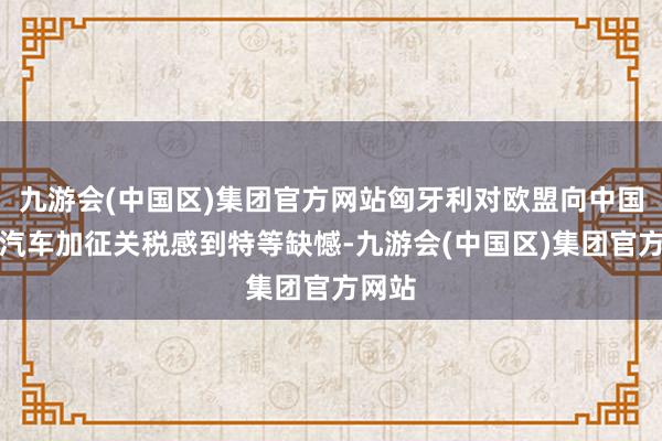 九游会(中国区)集团官方网站匈牙利对欧盟向中国电动汽车加征关税感到特等缺憾-九游会(中国区)集团官方网站